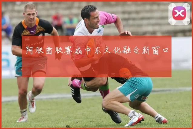 阿联酋联赛成中东文化融合新窗口