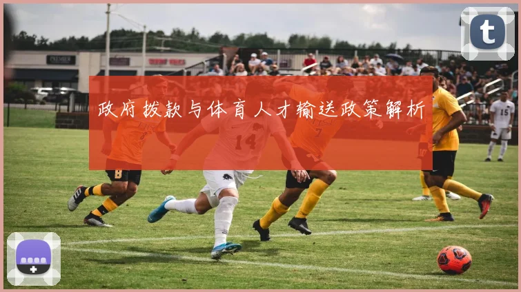 政府拨款与体育人才输送政策解析