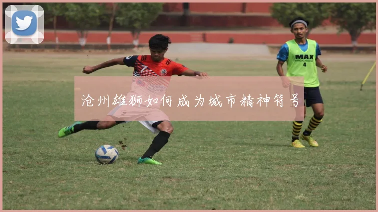 沧州雄狮如何成为城市精神符号