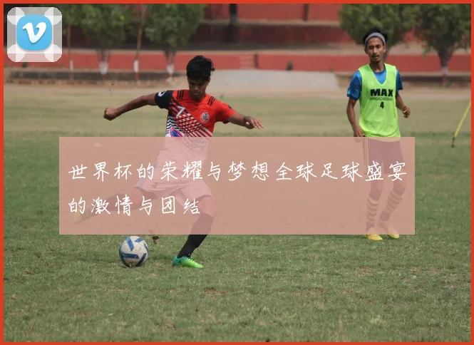 世界杯的荣耀与梦想全球足球盛宴的激情与团结